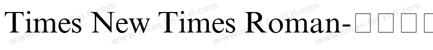 Times New Times Roman字体转换